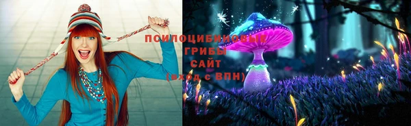 дурь Вязьма