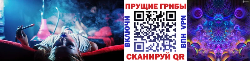 купить закладку  Ленинградская  нарко площадка состав  Псилоцибиновые грибы мухоморы 